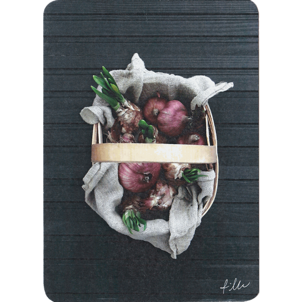 Rilla postikortti 10x15 cm kukkasipulikori